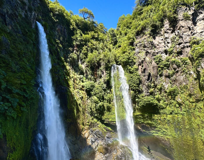 melipeuco1